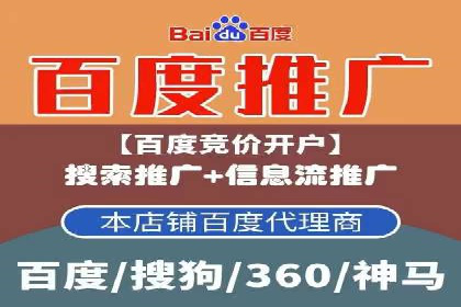 百度竞价广告投放策略：案例分析及效果评估
